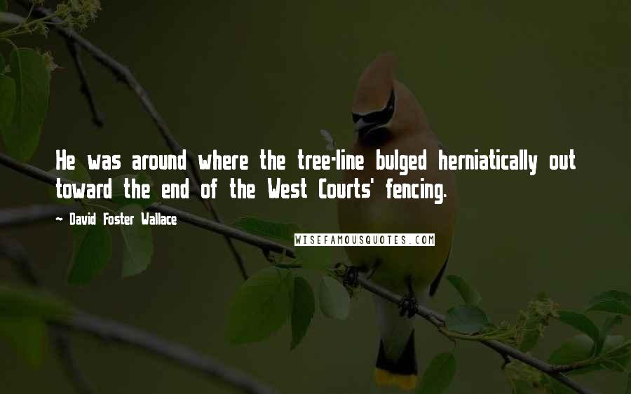 David Foster Wallace Quotes: He was around where the tree-line bulged herniatically out toward the end of the West Courts' fencing.