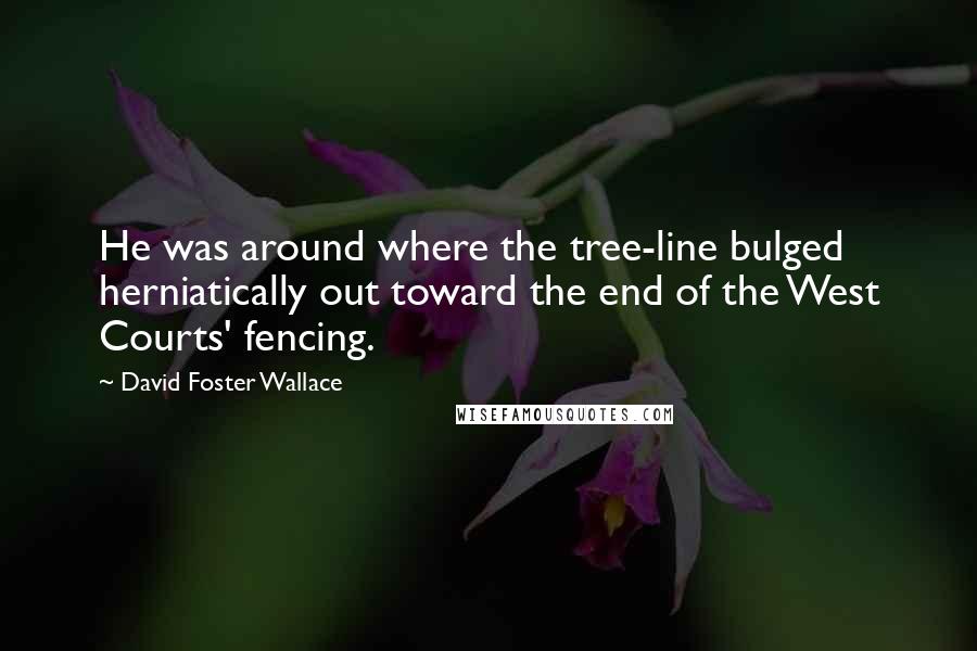 David Foster Wallace Quotes: He was around where the tree-line bulged herniatically out toward the end of the West Courts' fencing.