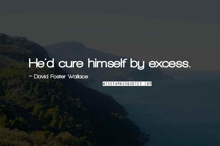 David Foster Wallace Quotes: He'd cure himself by excess.