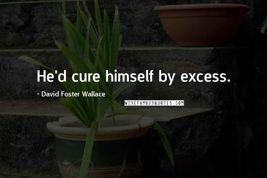 David Foster Wallace Quotes: He'd cure himself by excess.