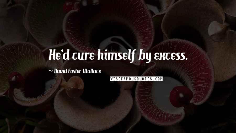 David Foster Wallace Quotes: He'd cure himself by excess.