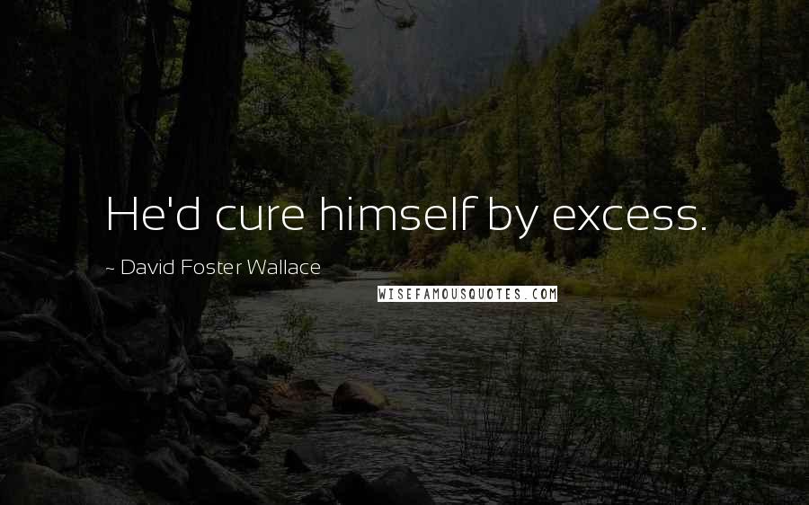 David Foster Wallace Quotes: He'd cure himself by excess.