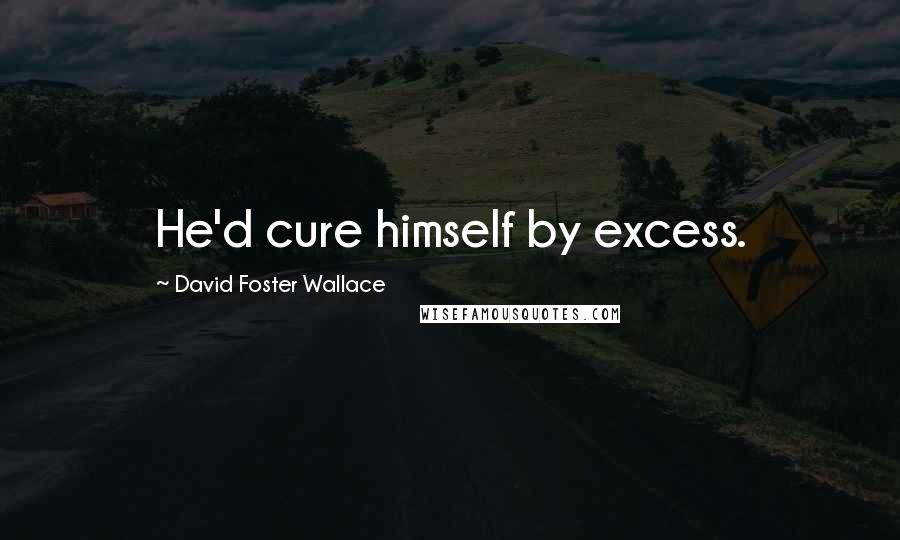 David Foster Wallace Quotes: He'd cure himself by excess.