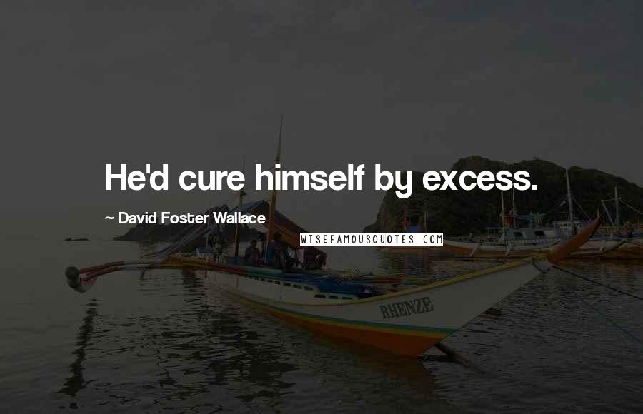 David Foster Wallace Quotes: He'd cure himself by excess.