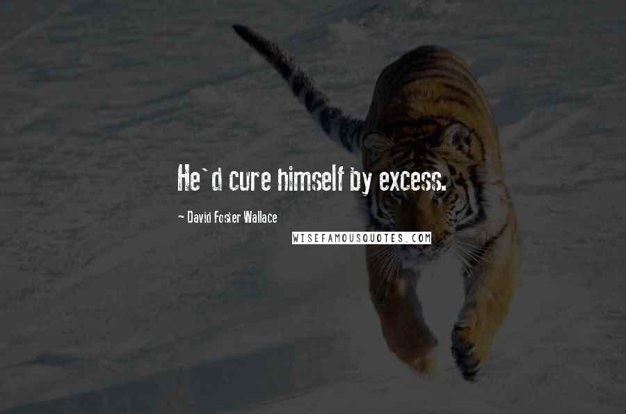 David Foster Wallace Quotes: He'd cure himself by excess.