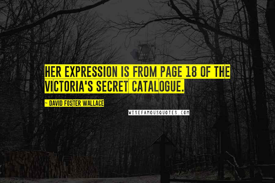 David Foster Wallace Quotes: Her expression is from Page 18 of the Victoria's Secret catalogue.