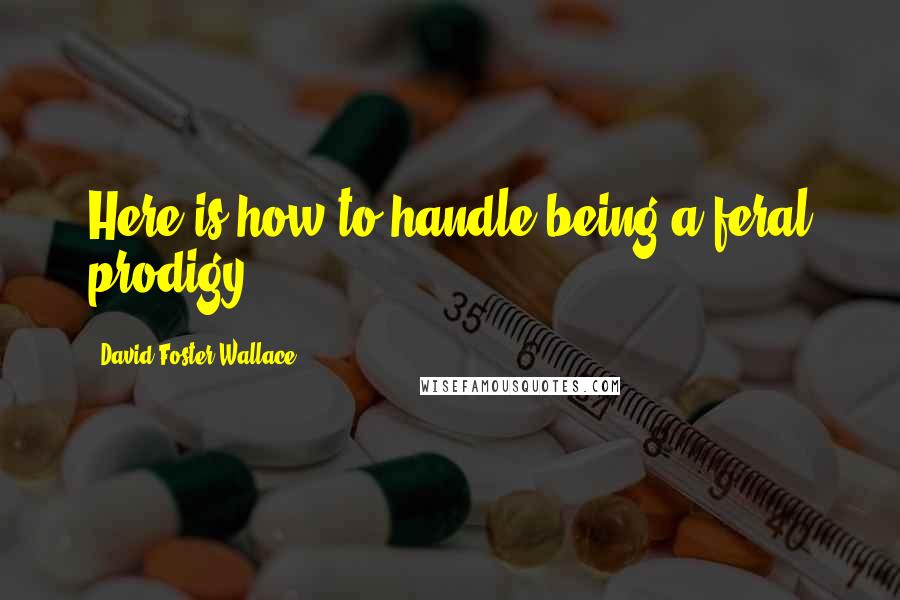 David Foster Wallace Quotes: Here is how to handle being a feral prodigy.