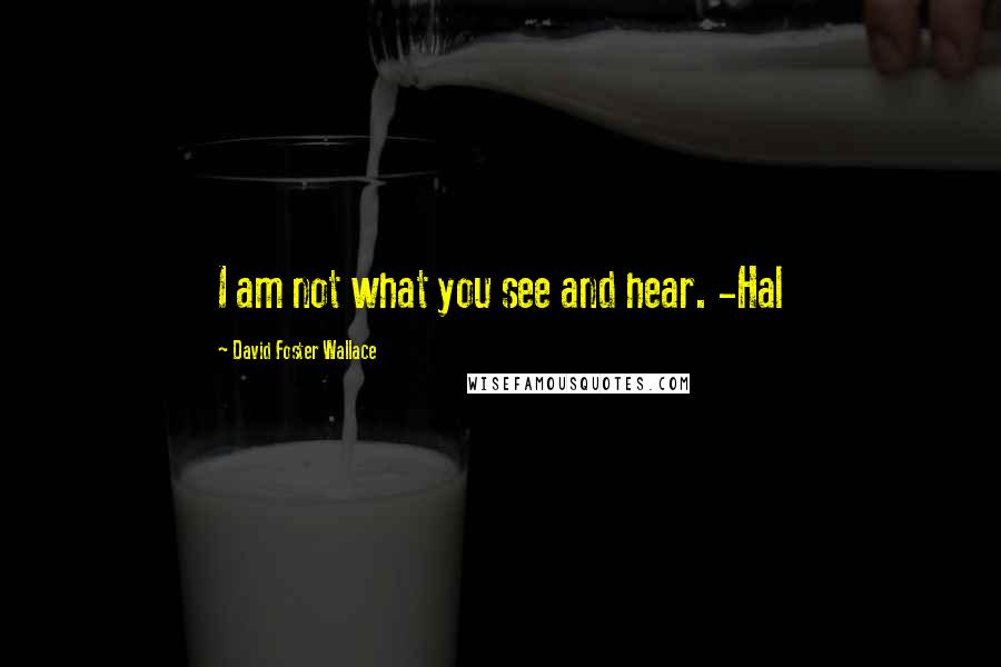 David Foster Wallace Quotes: I am not what you see and hear. -Hal