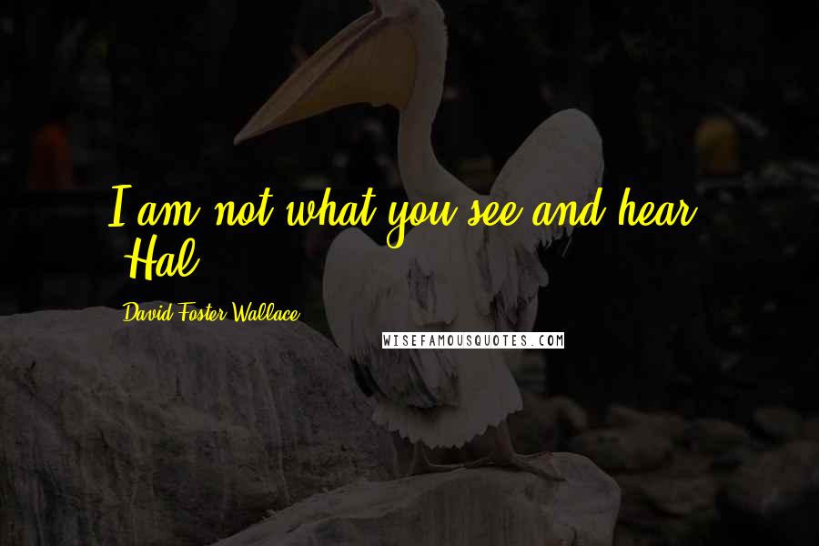 David Foster Wallace Quotes: I am not what you see and hear. -Hal