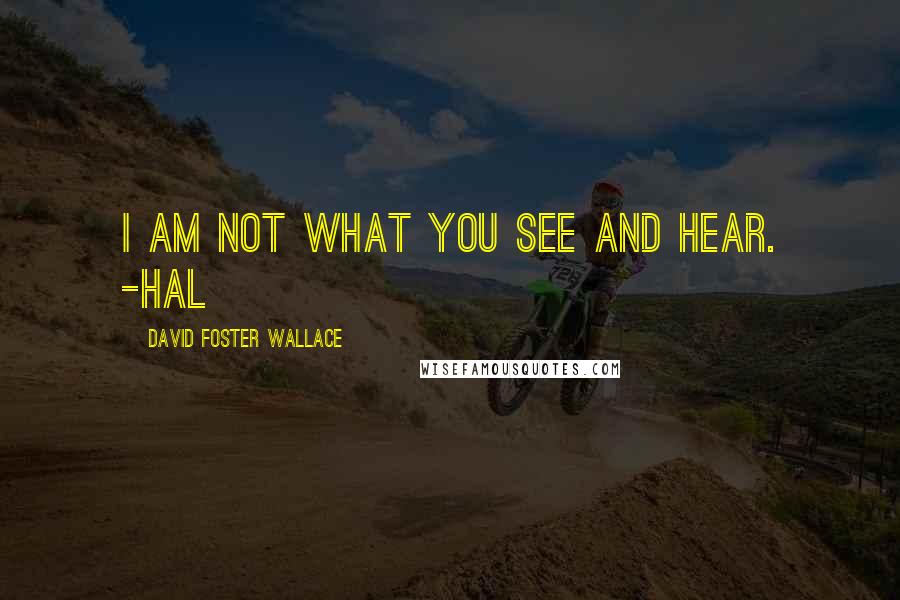David Foster Wallace Quotes: I am not what you see and hear. -Hal
