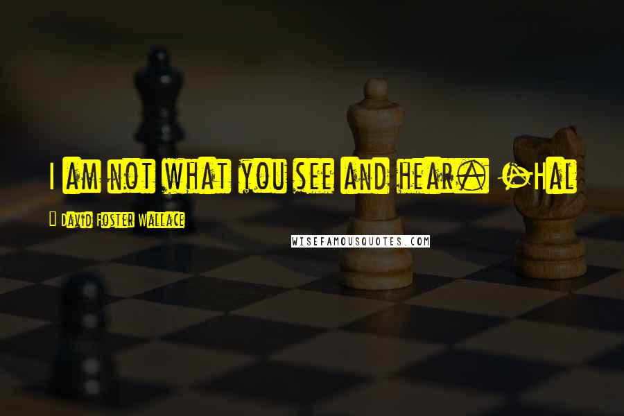 David Foster Wallace Quotes: I am not what you see and hear. -Hal