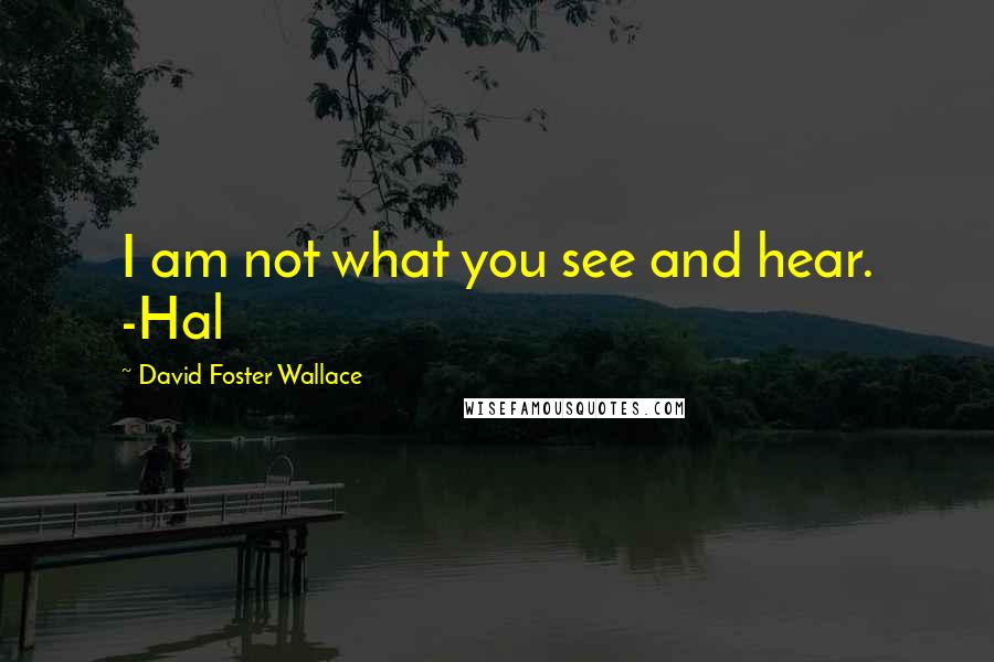 David Foster Wallace Quotes: I am not what you see and hear. -Hal