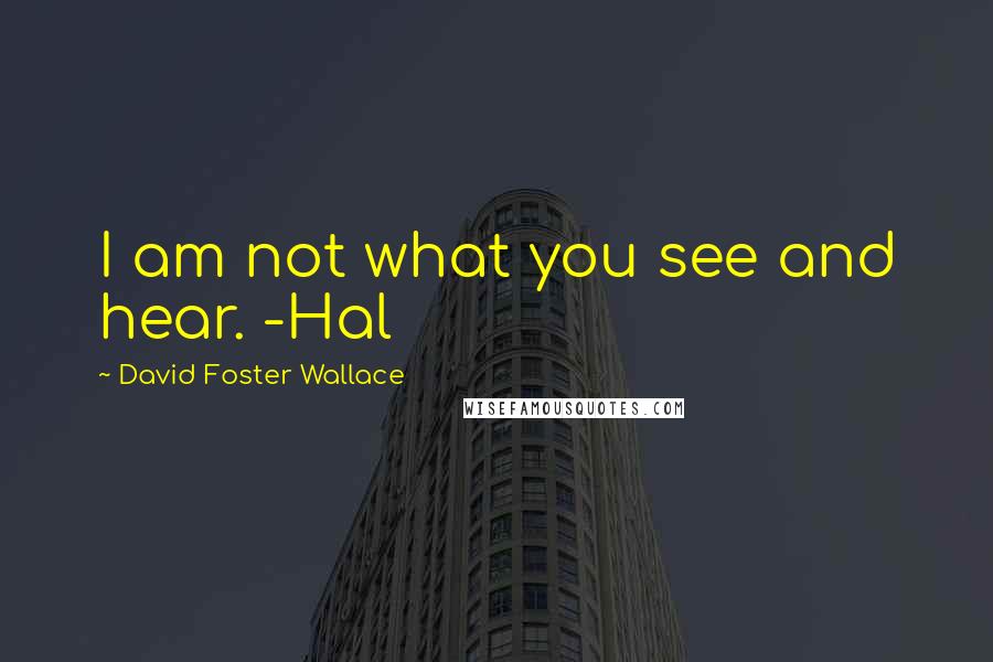 David Foster Wallace Quotes: I am not what you see and hear. -Hal