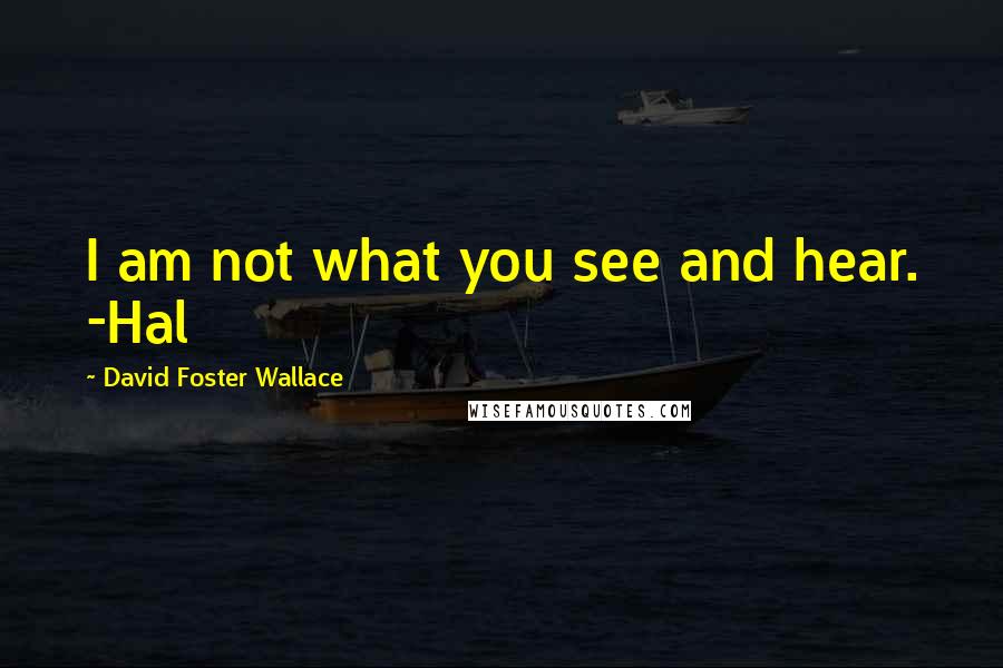 David Foster Wallace Quotes: I am not what you see and hear. -Hal