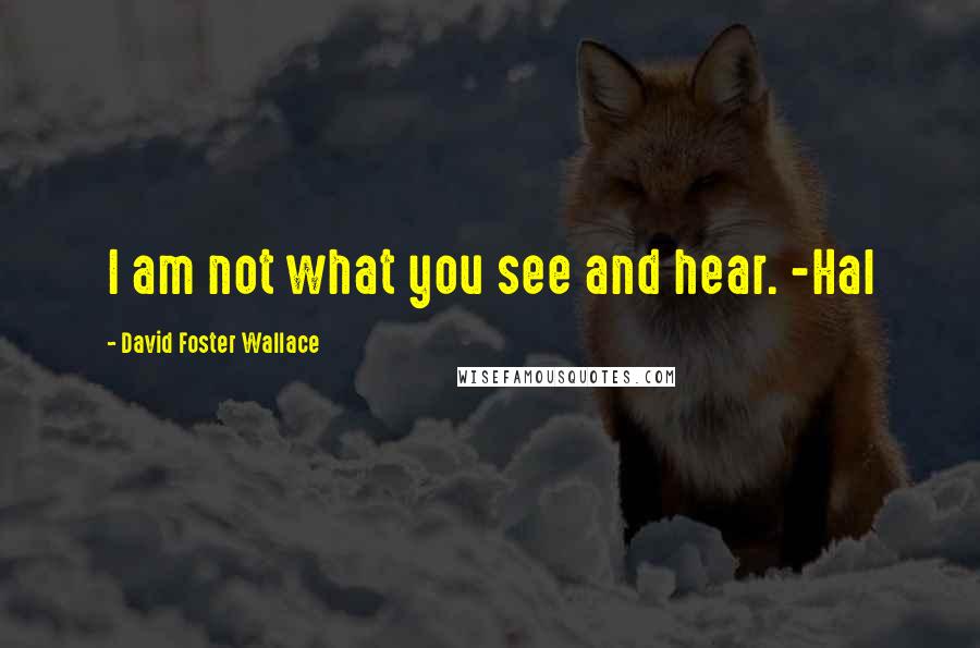 David Foster Wallace Quotes: I am not what you see and hear. -Hal