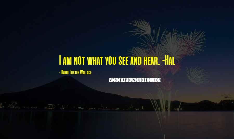 David Foster Wallace Quotes: I am not what you see and hear. -Hal
