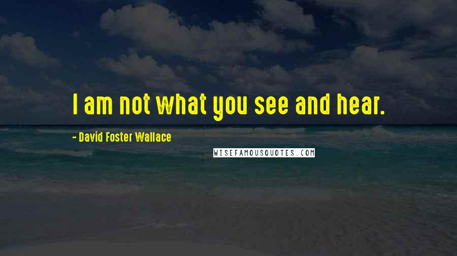 David Foster Wallace Quotes: I am not what you see and hear.