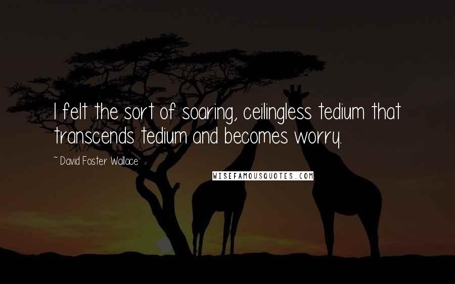 David Foster Wallace Quotes: I felt the sort of soaring, ceilingless tedium that transcends tedium and becomes worry.