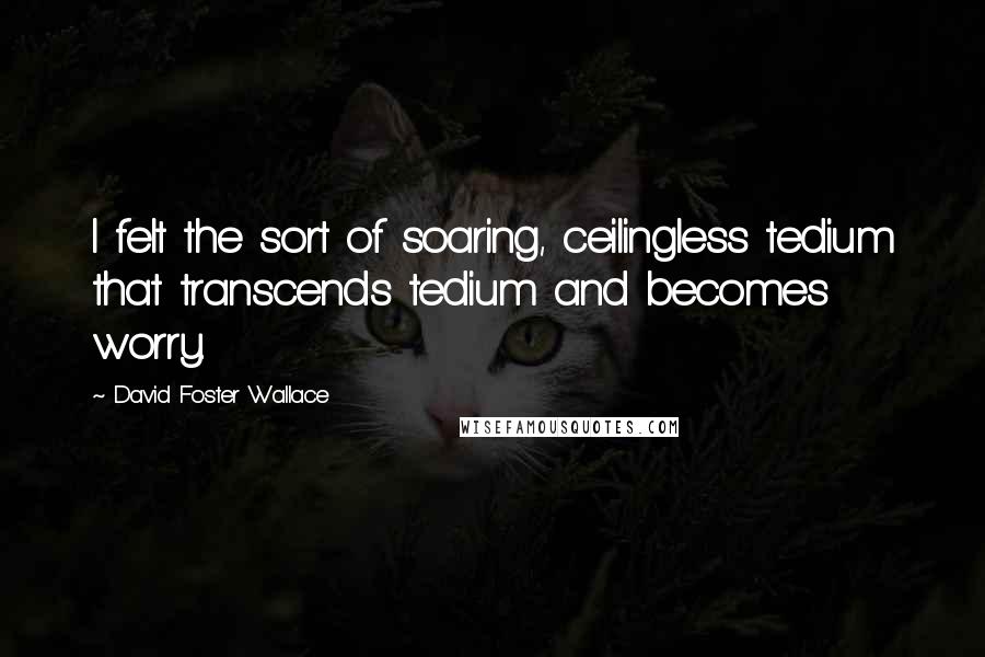 David Foster Wallace Quotes: I felt the sort of soaring, ceilingless tedium that transcends tedium and becomes worry.