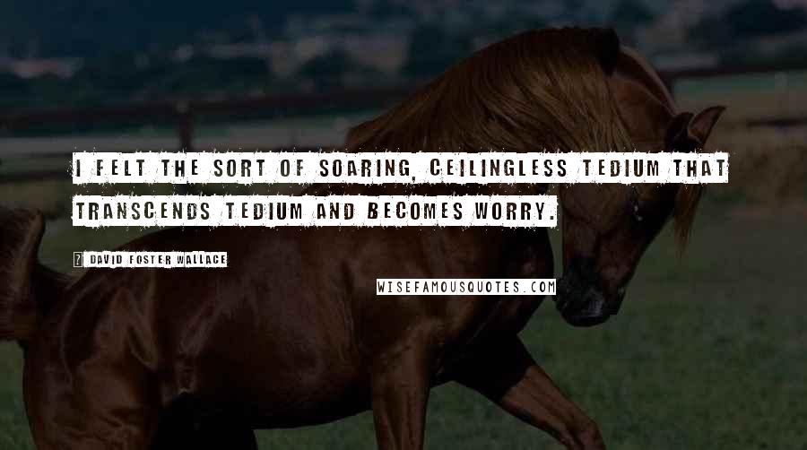 David Foster Wallace Quotes: I felt the sort of soaring, ceilingless tedium that transcends tedium and becomes worry.