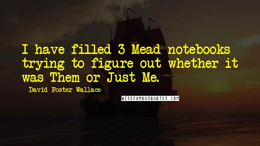 David Foster Wallace Quotes: I have filled 3 Mead notebooks trying to figure out whether it was Them or Just Me.