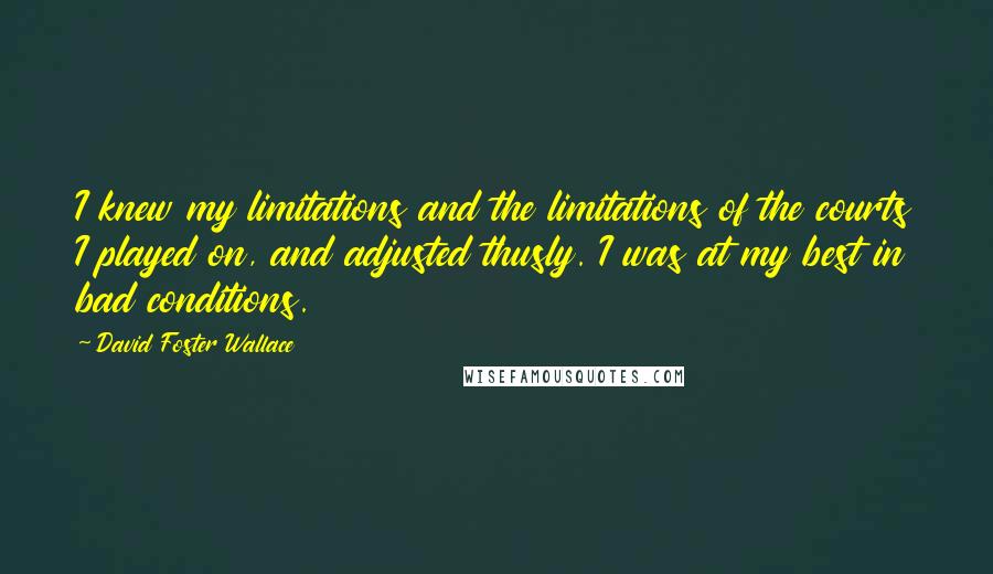 David Foster Wallace Quotes: I knew my limitations and the limitations of the courts I played on, and adjusted thusly. I was at my best in bad conditions.