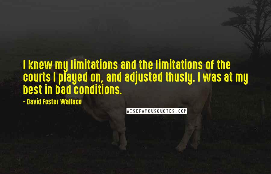David Foster Wallace Quotes: I knew my limitations and the limitations of the courts I played on, and adjusted thusly. I was at my best in bad conditions.