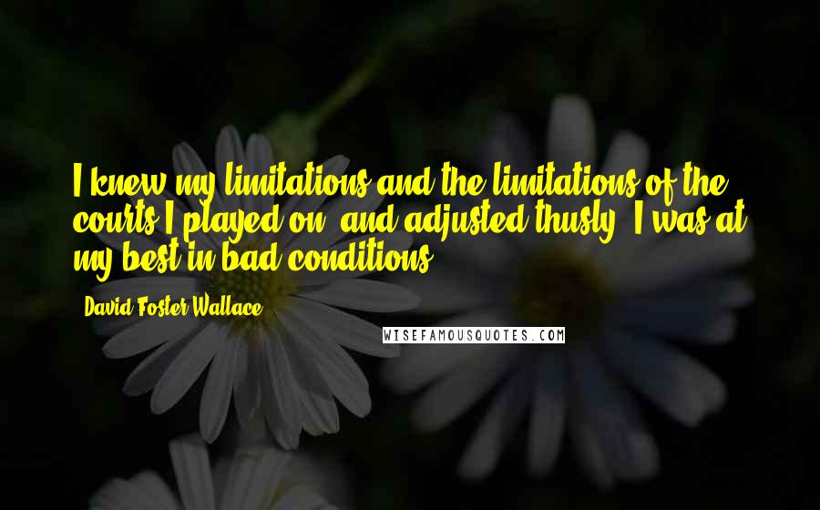 David Foster Wallace Quotes: I knew my limitations and the limitations of the courts I played on, and adjusted thusly. I was at my best in bad conditions.