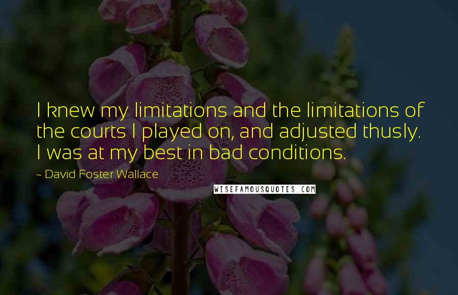 David Foster Wallace Quotes: I knew my limitations and the limitations of the courts I played on, and adjusted thusly. I was at my best in bad conditions.