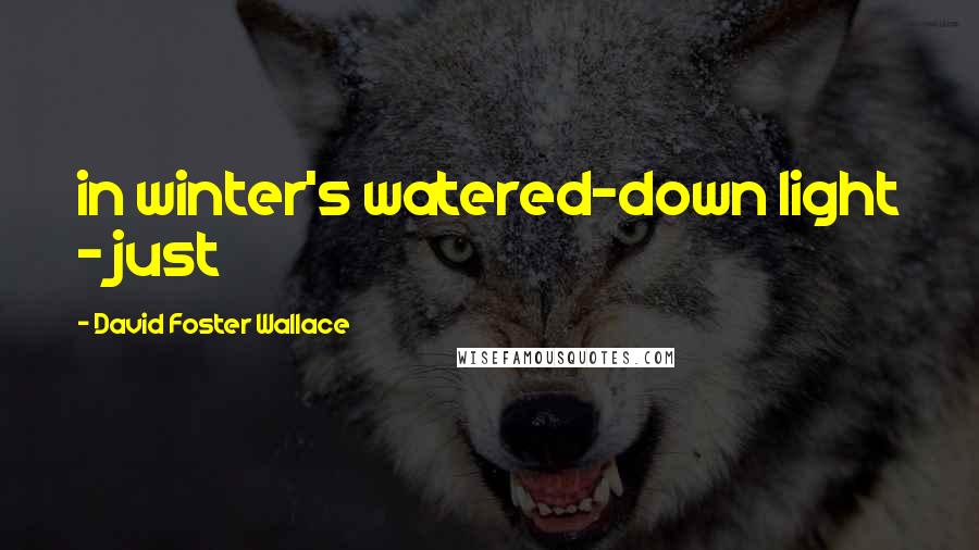 David Foster Wallace Quotes: in winter's watered-down light - just