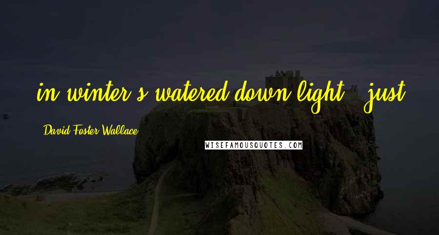 David Foster Wallace Quotes: in winter's watered-down light - just