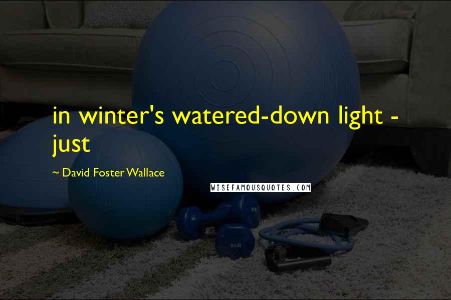 David Foster Wallace Quotes: in winter's watered-down light - just