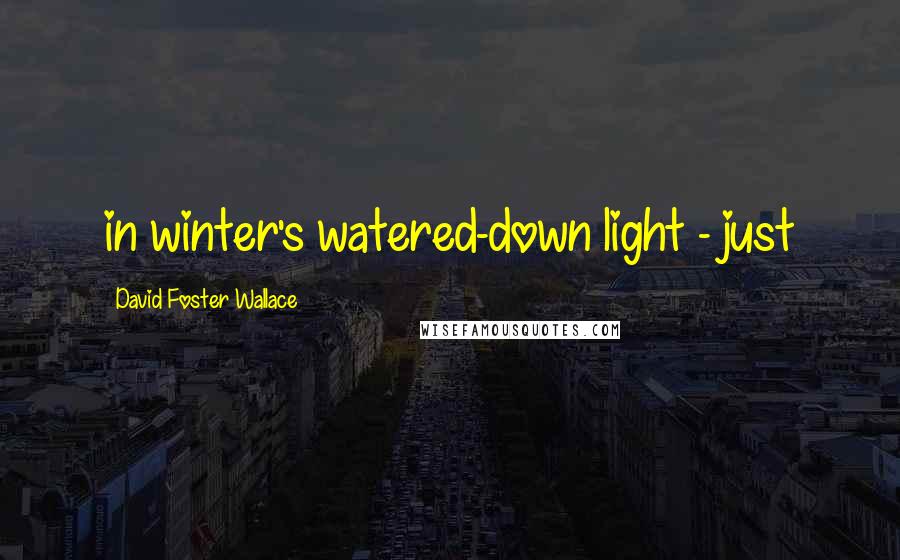 David Foster Wallace Quotes: in winter's watered-down light - just
