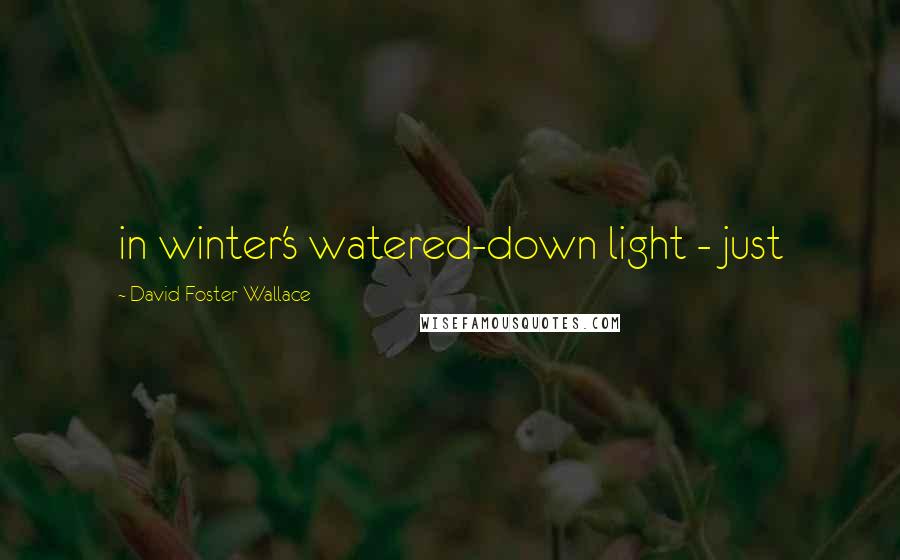 David Foster Wallace Quotes: in winter's watered-down light - just