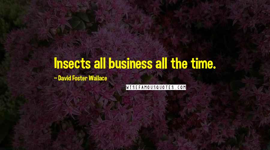 David Foster Wallace Quotes: Insects all business all the time.