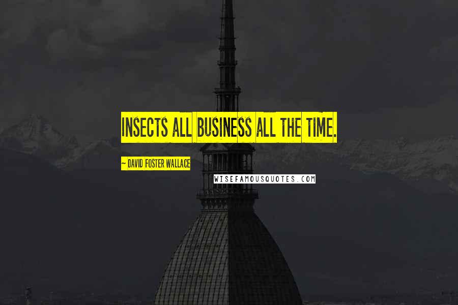 David Foster Wallace Quotes: Insects all business all the time.