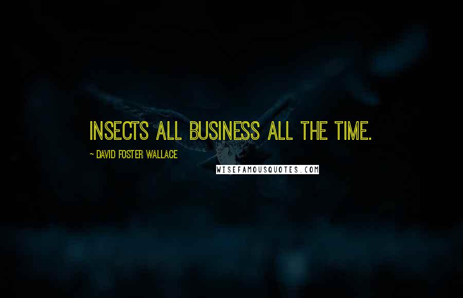 David Foster Wallace Quotes: Insects all business all the time.