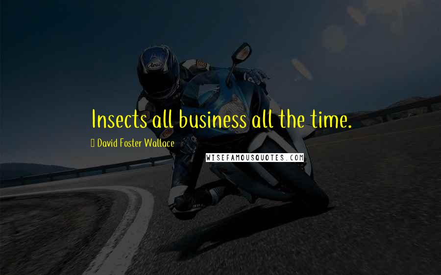 David Foster Wallace Quotes: Insects all business all the time.