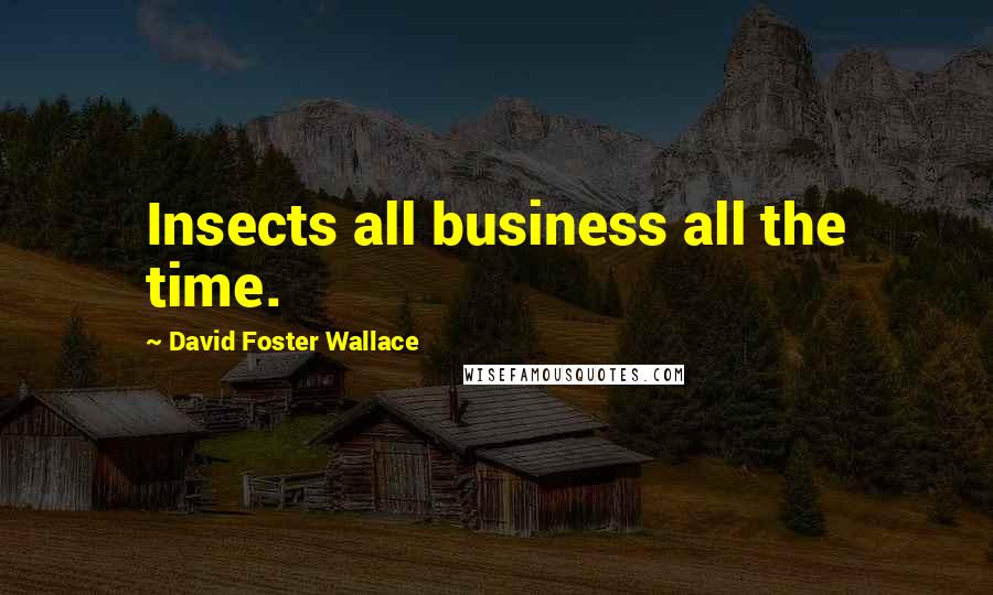 David Foster Wallace Quotes: Insects all business all the time.