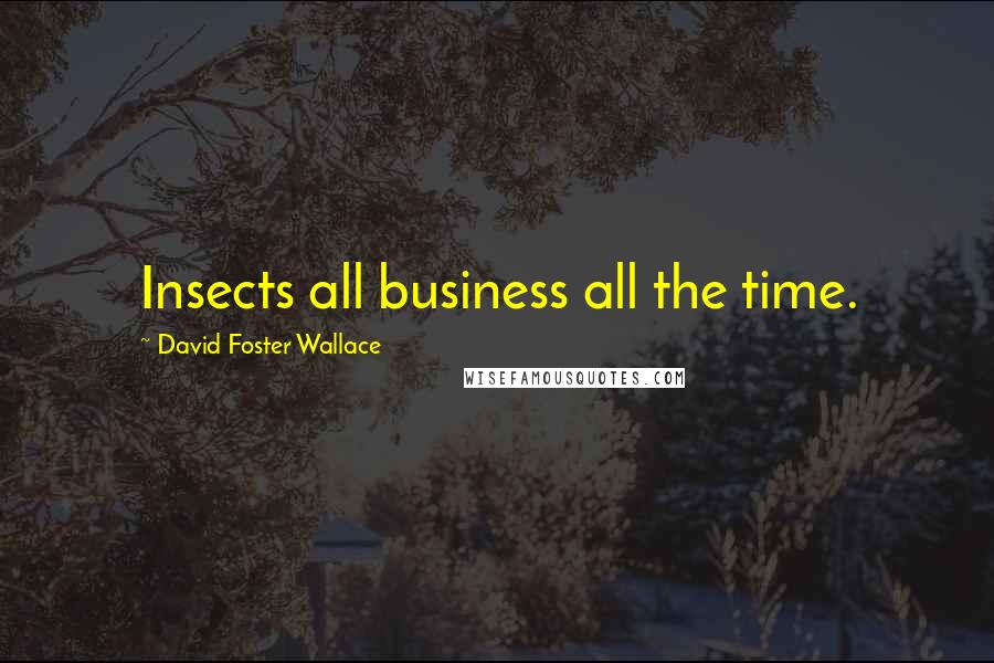 David Foster Wallace Quotes: Insects all business all the time.