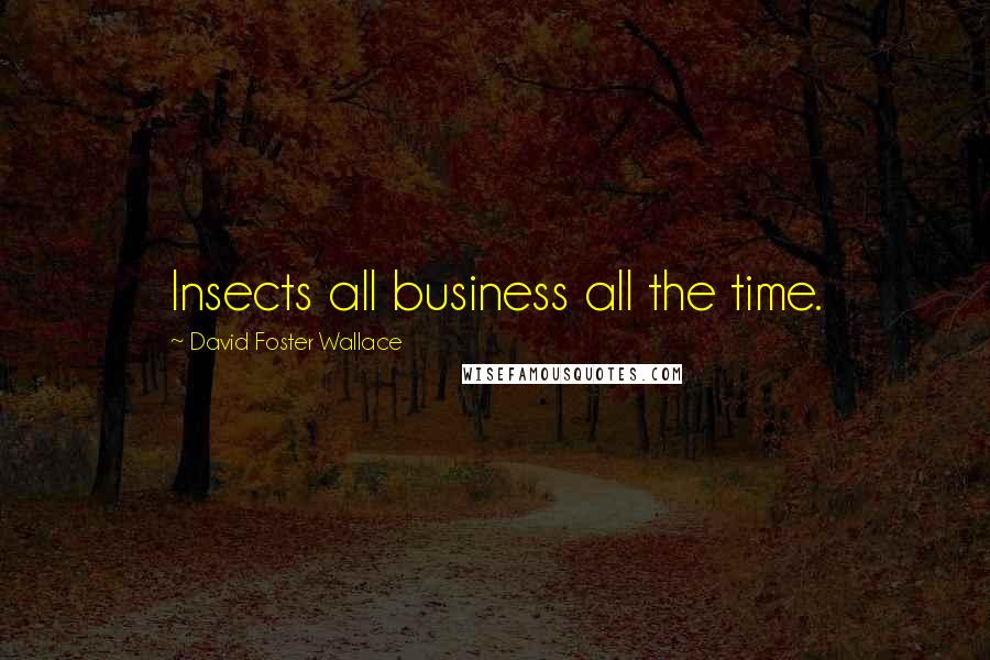 David Foster Wallace Quotes: Insects all business all the time.