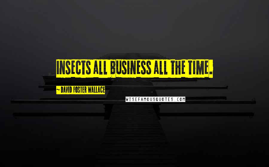 David Foster Wallace Quotes: Insects all business all the time.