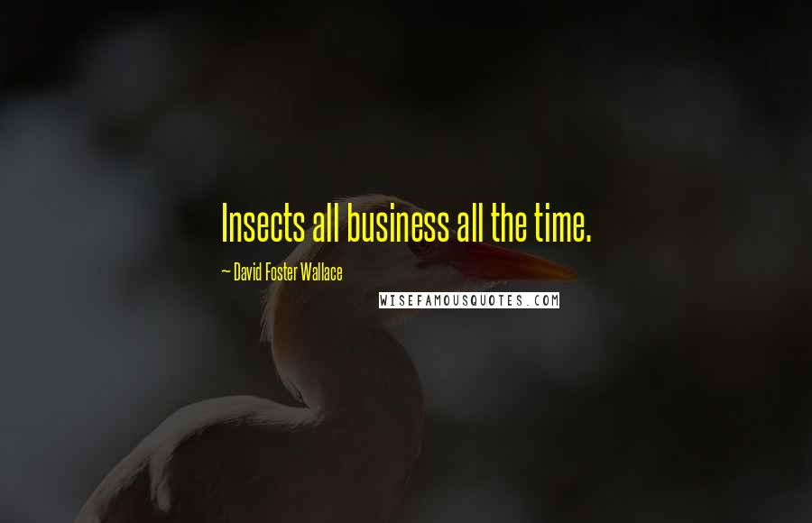 David Foster Wallace Quotes: Insects all business all the time.