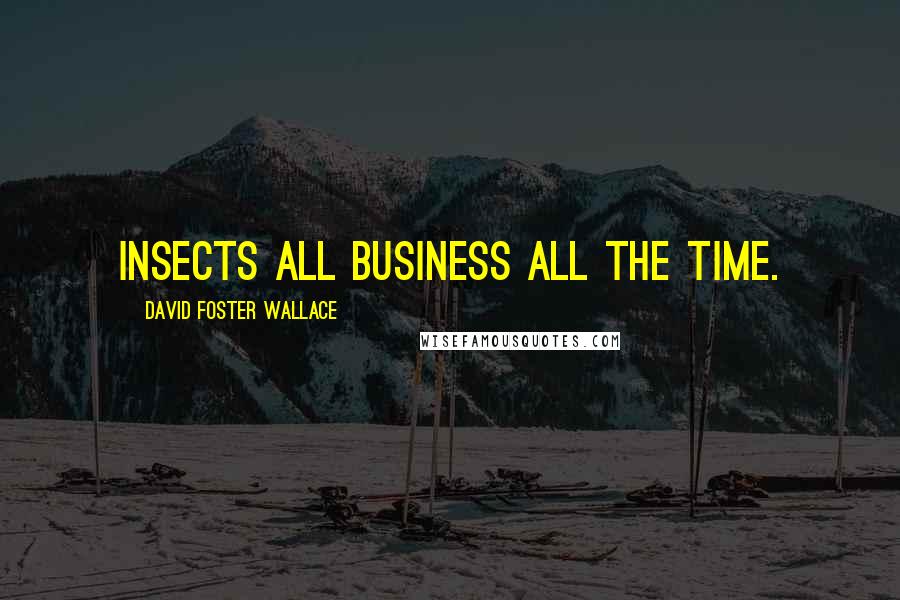 David Foster Wallace Quotes: Insects all business all the time.