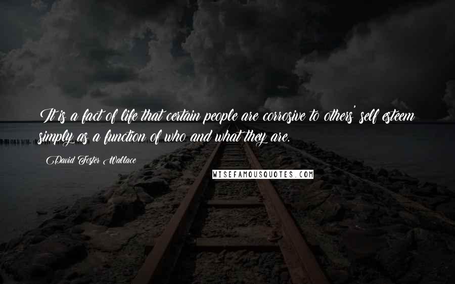 David Foster Wallace Quotes: It is a fact of life that certain people are corrosive to others' self esteem simply as a function of who and what they are.