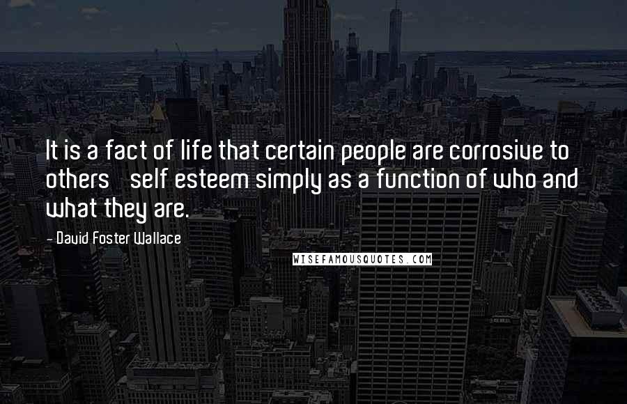 David Foster Wallace Quotes: It is a fact of life that certain people are corrosive to others' self esteem simply as a function of who and what they are.