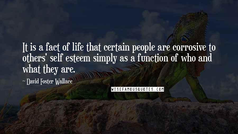 David Foster Wallace Quotes: It is a fact of life that certain people are corrosive to others' self esteem simply as a function of who and what they are.