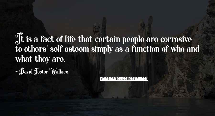 David Foster Wallace Quotes: It is a fact of life that certain people are corrosive to others' self esteem simply as a function of who and what they are.