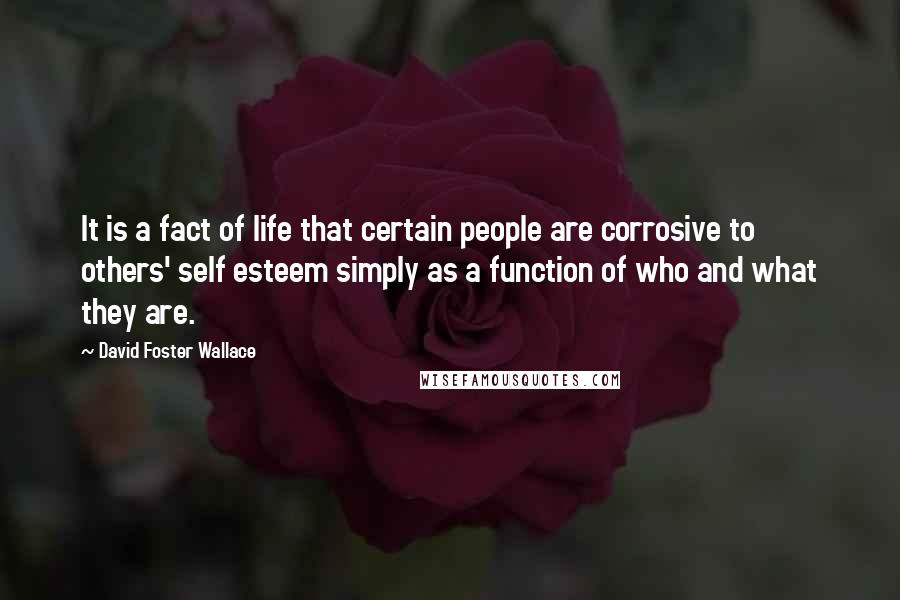 David Foster Wallace Quotes: It is a fact of life that certain people are corrosive to others' self esteem simply as a function of who and what they are.