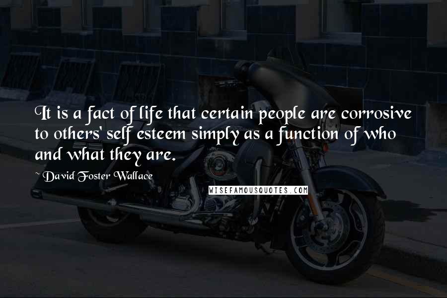 David Foster Wallace Quotes: It is a fact of life that certain people are corrosive to others' self esteem simply as a function of who and what they are.